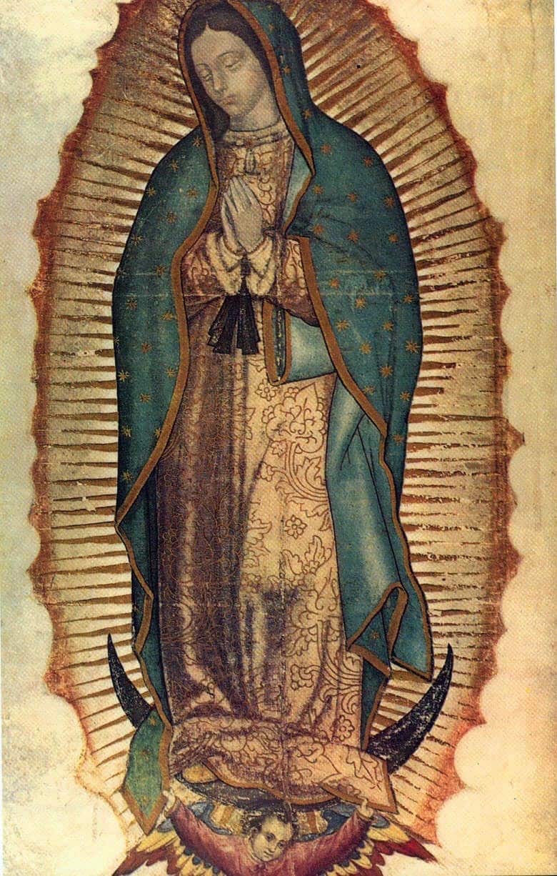 Our Lady of Guadalupe